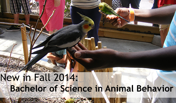 CISAB is now pleased to offer students a Bachelor of Science in Animal Behavior! 